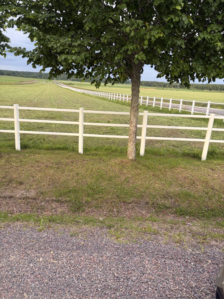 Onsdag – Stall Goop