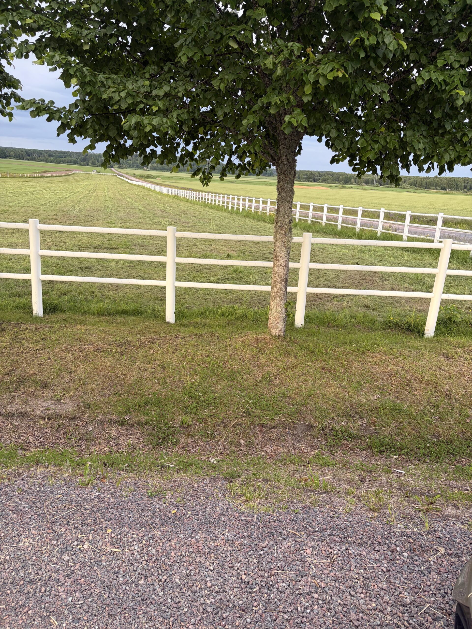Onsdag – Stall Goop